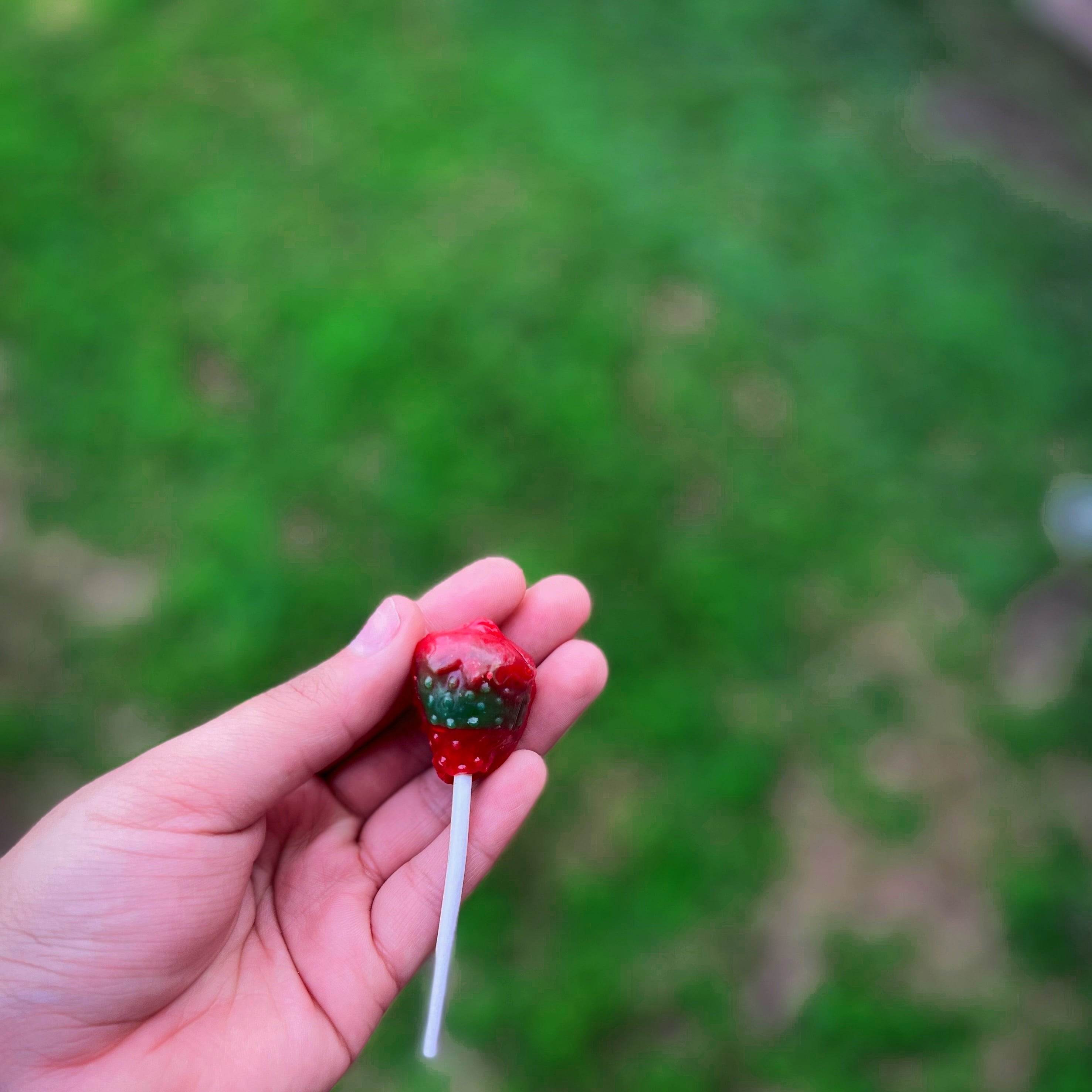 Strawberry Paleta